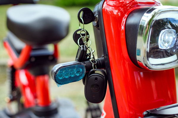 Изображение товара Электровелосипед AVM Delta Pro (красный)