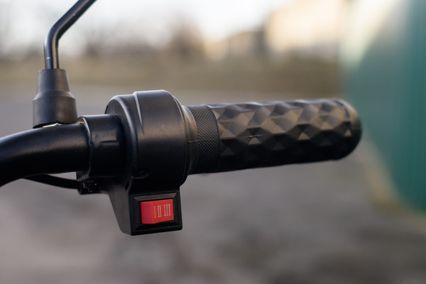 Изображение товара Электровелосипед AVM Delta Pro (синий)