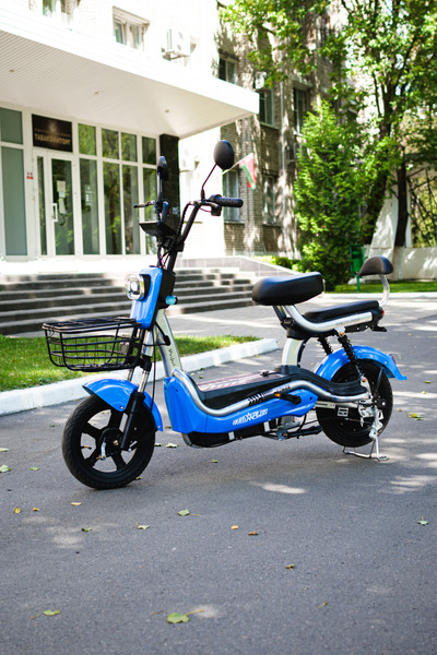 Изображение товара Электровелосипед AVM Delta Pro (синий)