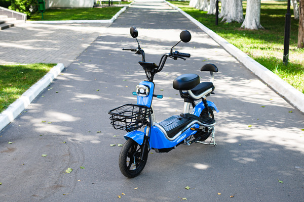 Изображение товара Электровелосипед AVM Delta Pro (синий)