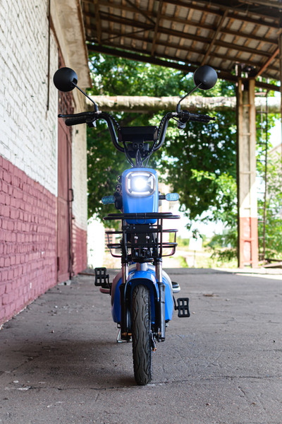 Изображение товара Электровелосипед AVM Delta Pro (синий)