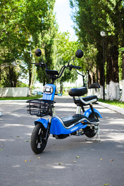 Изображение товара Электровелосипед AVM Delta Pro (синий)