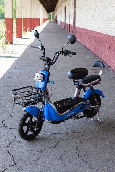 Изображение товара Электровелосипед AVM Delta Pro (синий)