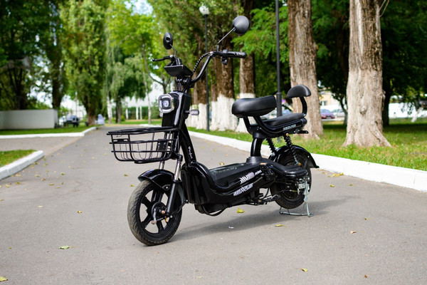 Изображение товара Электровелосипед AVM Delta Pro (черный)