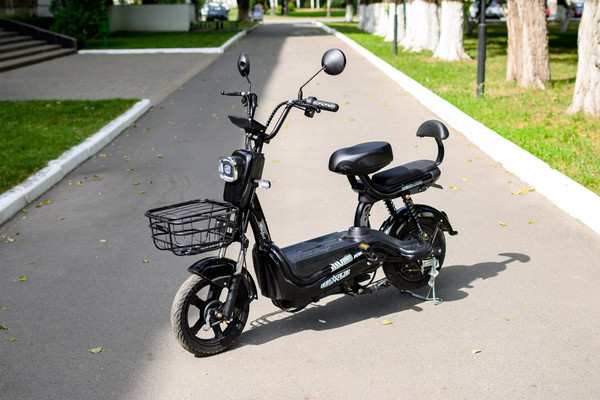 Изображение товара Электровелосипед AVM Delta Pro (черный)