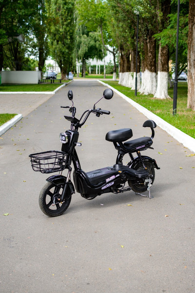 Изображение товара Электровелосипед AVM Delta Pro (черный)