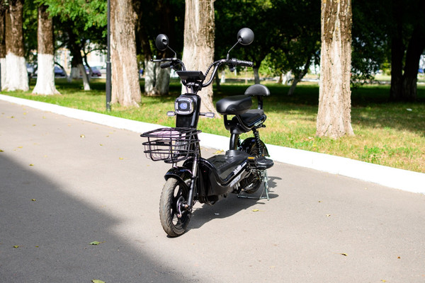 Изображение товара Электровелосипед AVM Delta Pro (черный)