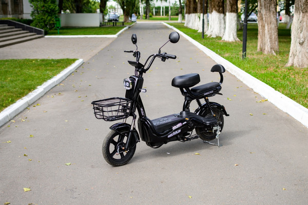 Изображение товара Электровелосипед AVM Delta Pro (черный)