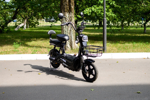 Изображение товара Электровелосипед AVM Delta Pro (черный)