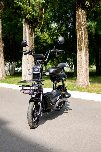 Изображение товара Электровелосипед AVM Delta Pro (черный)