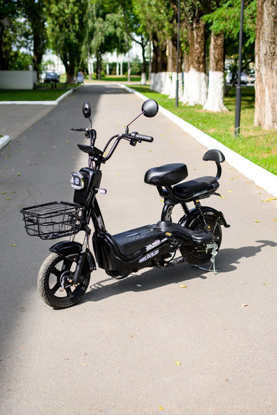 Изображение товара Электровелосипед AVM Delta Pro (черный)