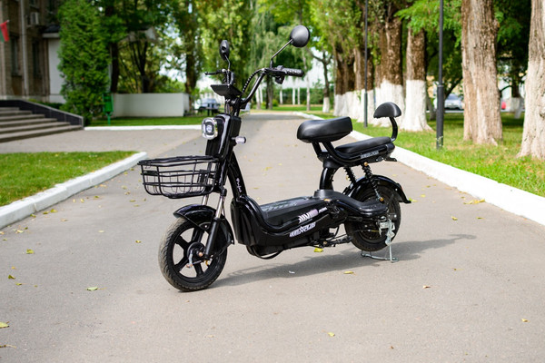 Изображение товара Электровелосипед AVM Delta Pro (черный)