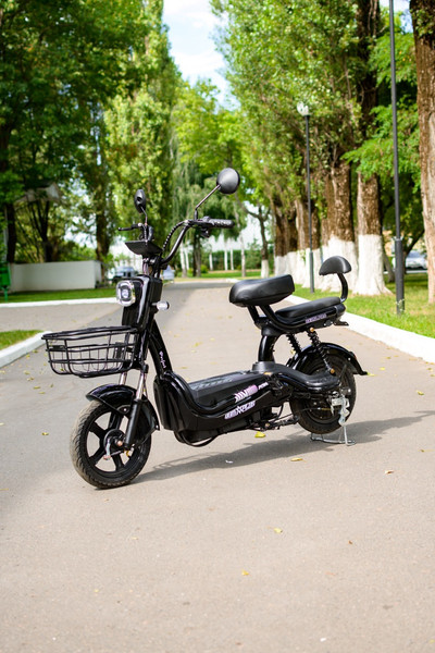 Изображение товара Электровелосипед AVM Delta Pro (черный)