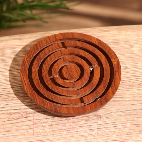 Изображение товара Игра-головоломка Sima-Land Круг / 9916782