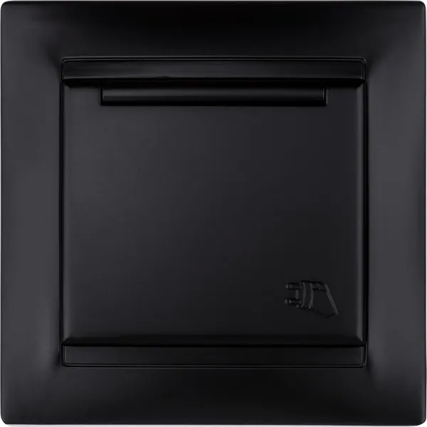 Изображение товара Розетка TDM Лама SQ1815-0614 (графит)