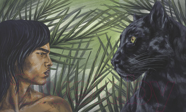 Изображение товара Книга Стрекоза Маугли / 9785995144786 (Киплинг Р.)