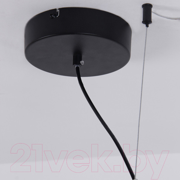 Изображение товара Потолочный светильник FAVOURITE 4569-2P