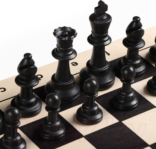 Изображение товара Шахматы Sima-Land Большие гроссмейстерские / 10348098
