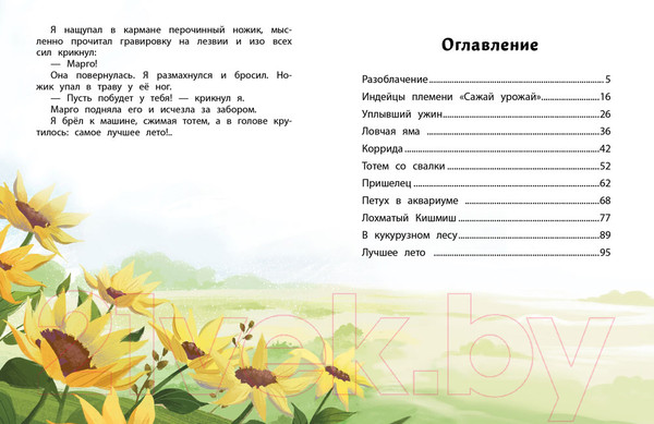 Изображение товара Книга Стрекоза Патиссон и Горькая Редька / 9785995149637 (Весова Ю.)