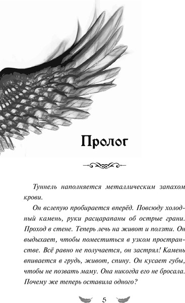 Изображение товара Художественная книга Эксмо Соколиный пик. Стражи небес / 9785041596545 (Вольц Х.)