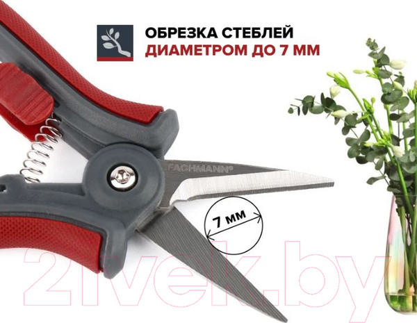 Изображение товара Садовые ножницы механические Fachmann 05.148