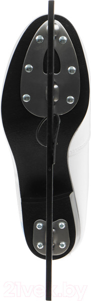 Изображение товара Коньки фигурные Winter Star Узор / 10386669 (р.40)