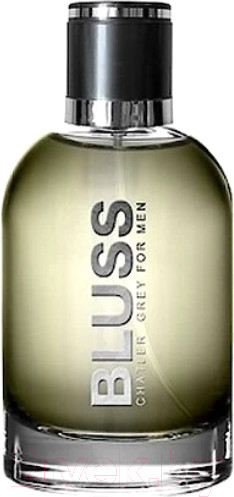 Изображение товара Парфюмерная вода Chatler Grey (100мл)