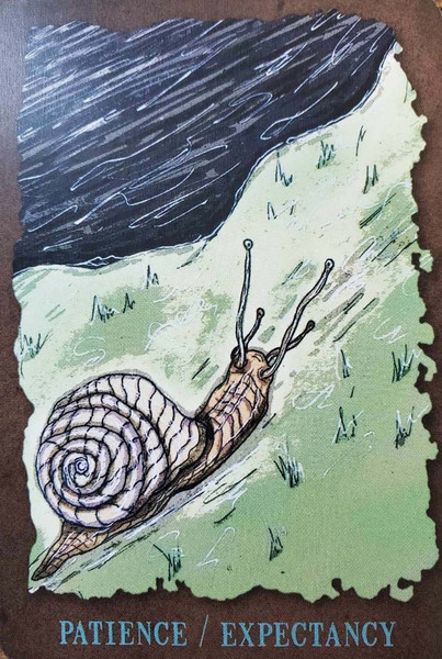 Изображение товара Гадальные карты Schiffer Publishing The Everglow Tarot / SP166