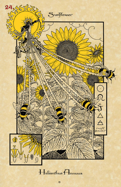 Изображение товара Гадальные карты Lo Scarabeo The Magickal Botanical Oracle / ORK02