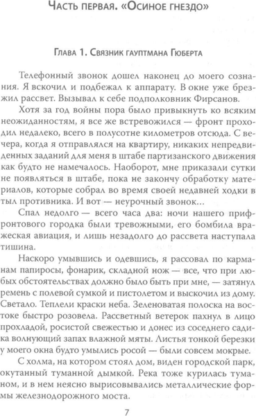 Изображение товара Художественная книга Родина Конец Осиного гнезда, твердая обложка (Брянцев Георгий)