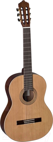 Изображение товара Акустическая гитара La Mancha Circon