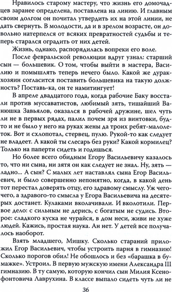 Изображение товара Книга Родина На железном ветру, твердая обложка (Егоров В.Г.)