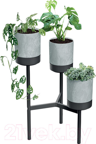 Изображение товара Стойка для цветов Prosperplast Bloomie Stand / IKD3L-422U (бетон)