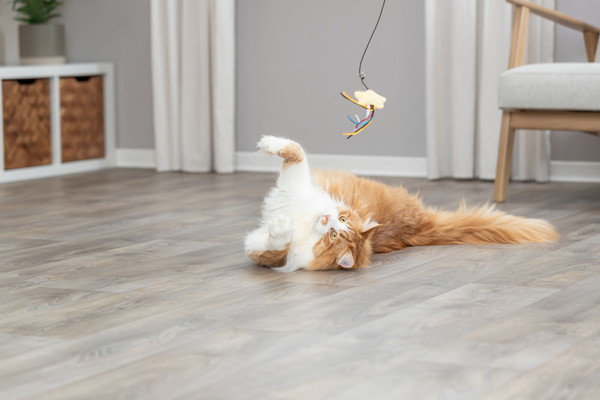 Изображение товара Игрушка для кошек Trixie Дразнилка с плюшевой звездочкой / 45617