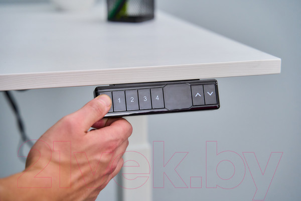 Изображение товара Стол с подъемным механизмом WellDesk WDЕ Uplift 139.5x80x2.8 (серый/ясень шимо)