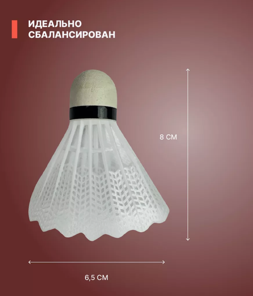 Изображение товара Набор для бадминтона Ingame Basic (красный/черный)