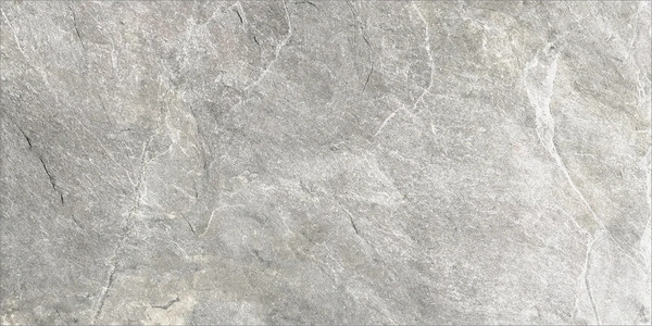 Изображение товара Плитка Delacora Stoncrete Gray D120226L (1200x600)