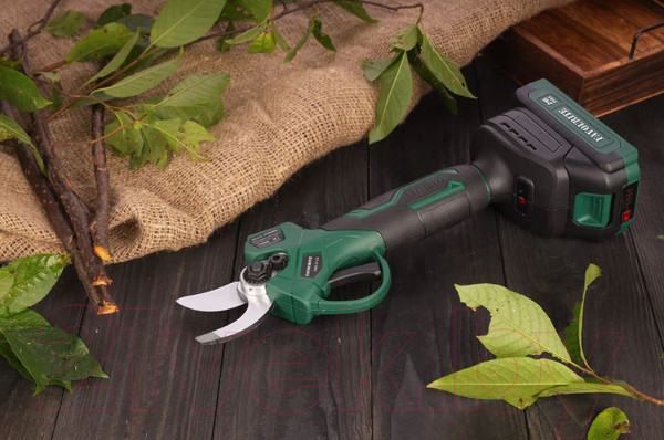 Изображение товара Секатор аккумуляторный Favourite OBS 21 GS