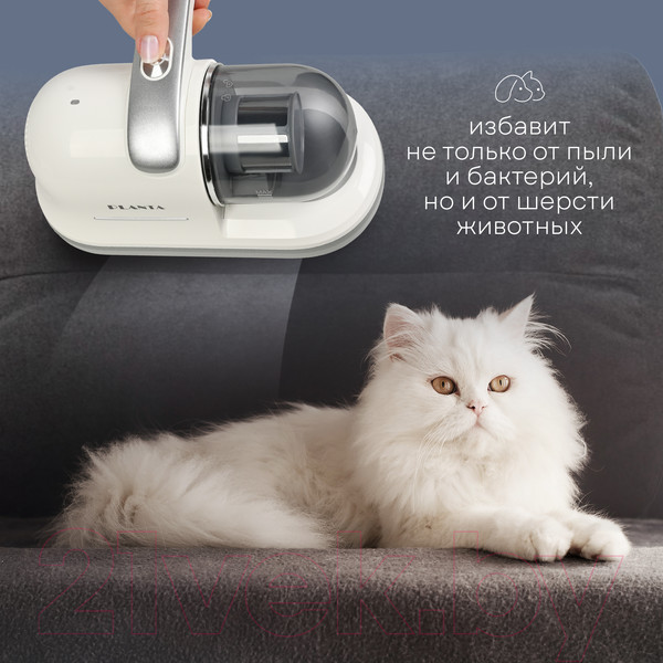 Изображение товара Портативный пылесос PLANTA PL-VCD01