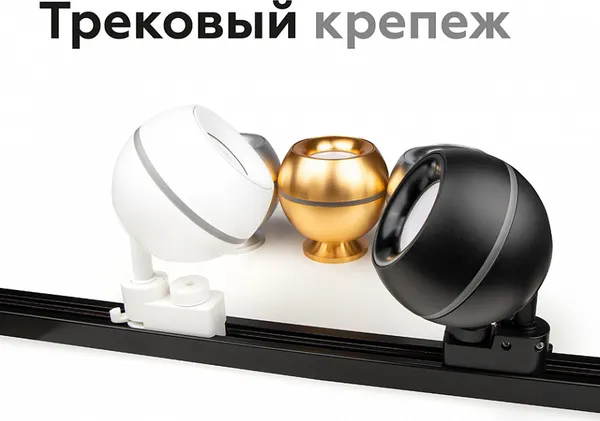 Изображение товара Кольцо декоративное для светильника Ambrella N7012 PSL (серебристый)