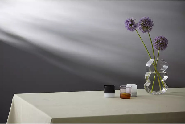 Изображение товара Ваза Bergenson Bjorn Wavy / BB0000823