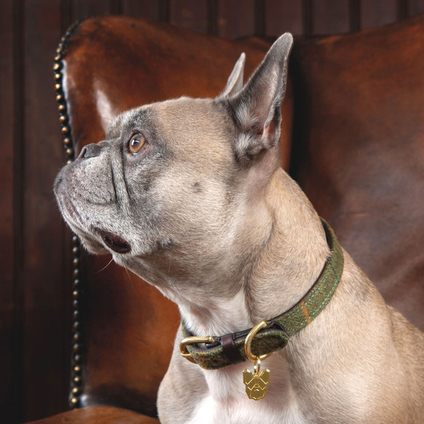 Изображение товара Ошейник Digby & Fox Шерлок Холмс / 6632/R/Y/BCHK/XXL (твидовый)