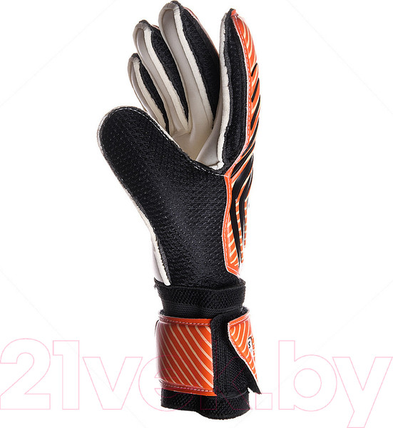 Изображение товара Перчатки вратарские Torres Club FG0523505-8 (размер 8)