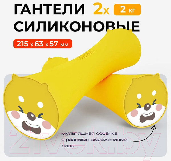 Изображение товара Набор гантелей Proiron Силиконовые / Г2020СИ (2шт)