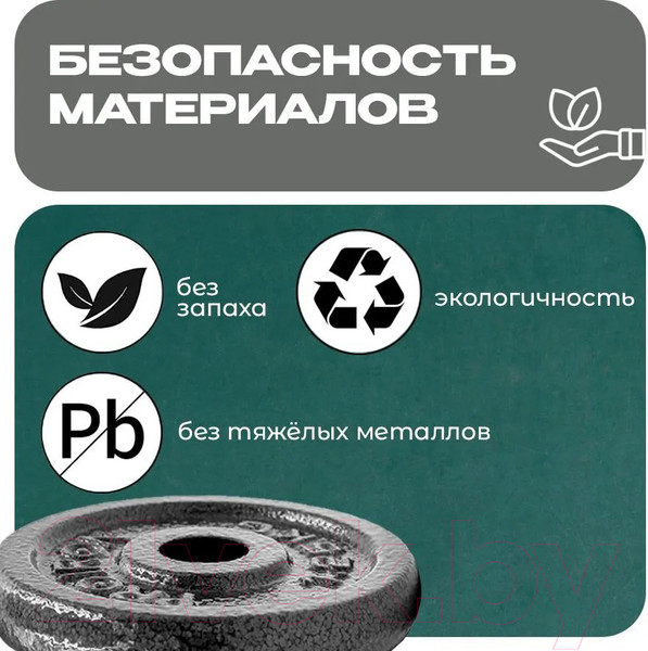 Изображение товара Набор дисков для штанги Proiron НЧД2100 (2шт)