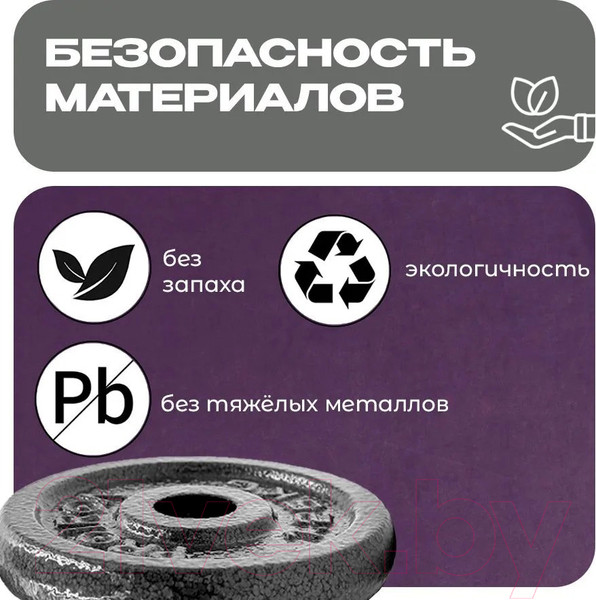 Изображение товара Набор дисков для штанги Proiron НЧД2500 (2шт)