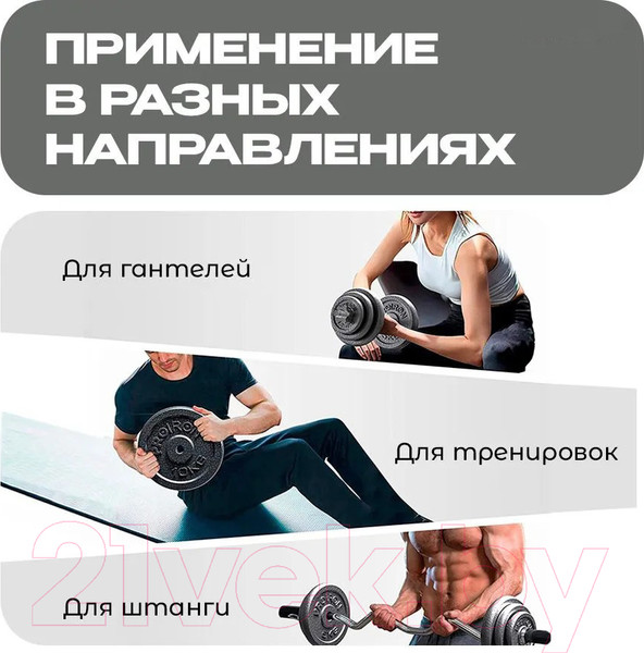 Изображение товара Набор дисков для штанги Proiron НЧД2500 (2шт)