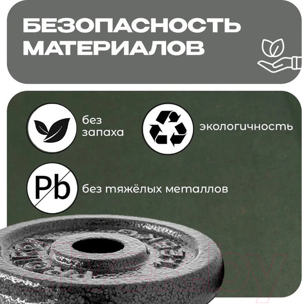 Изображение товара Набор дисков для штанги Proiron НЧД4125 (4шт)