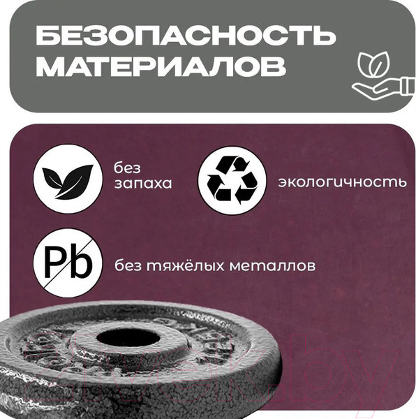 Изображение товара Набор дисков для штанги Proiron НЧД4250 (4шт)