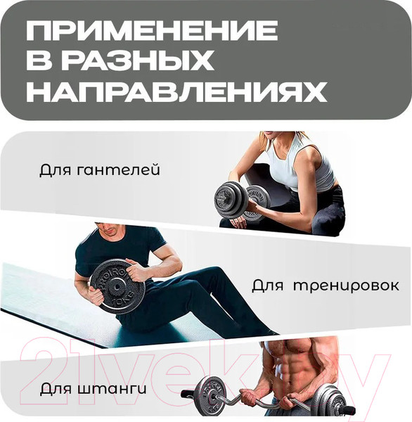 Изображение товара Набор дисков для штанги Proiron НЧД4250 (4шт)